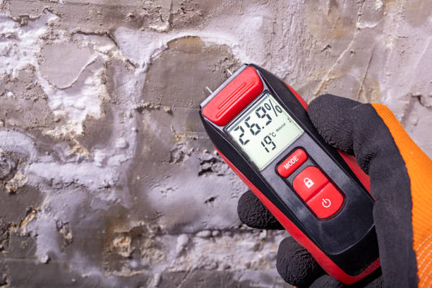 Best Best Mold Removal Companies  in Security Widefield, CO